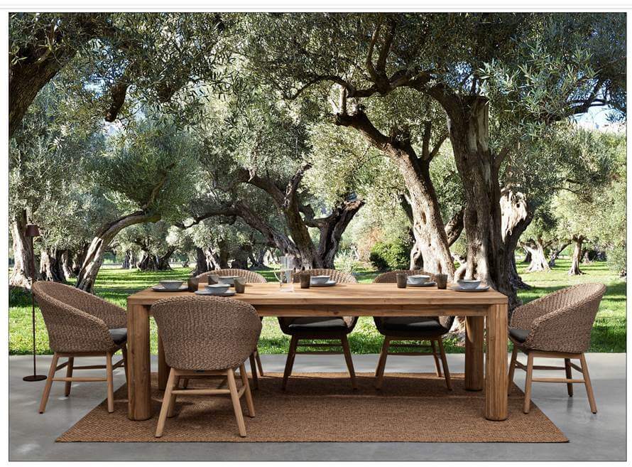 Baron Set Collection